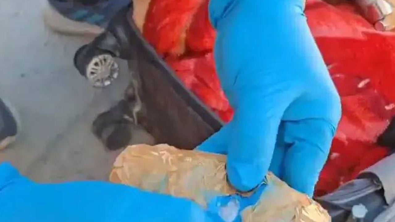 Foto - 32 ilde 10 bin personelle dev uyuşturucu operasyonu! 560 kilo zehir, 435 bin hap yakalandı, 298 torbacı tutuklandı