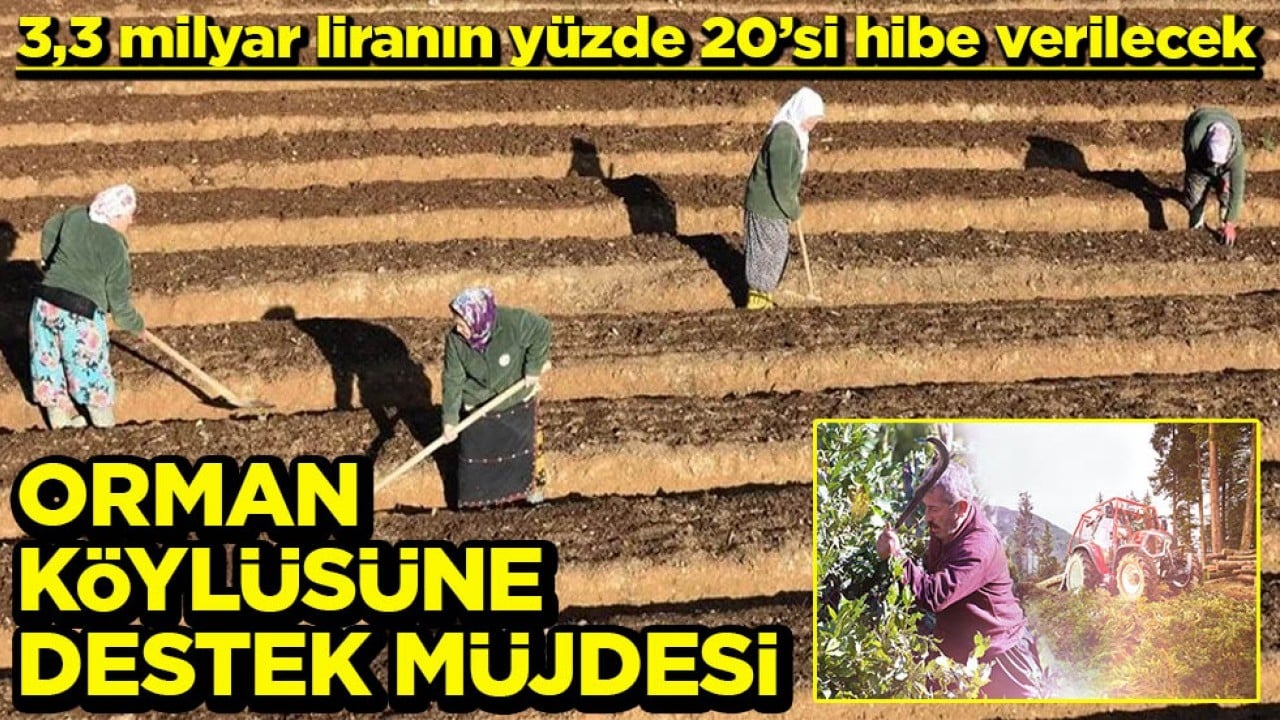 3,3 milyar liranın yüzde 20’si hibe verilecek Orman köylüsüne destek müjdesi
