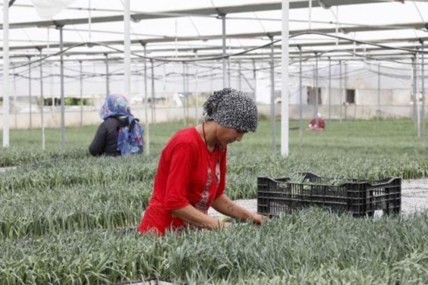 Foto - 33 ülke sıraya girdi! Üretimi oldukça kolay