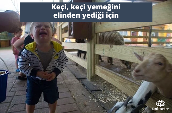 Foto - 34 çocuk ve dehşet verici ağlama nedenleri