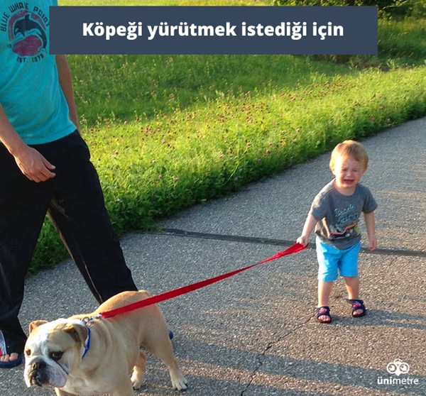 Foto - 34 çocuk ve dehşet verici ağlama nedenleri