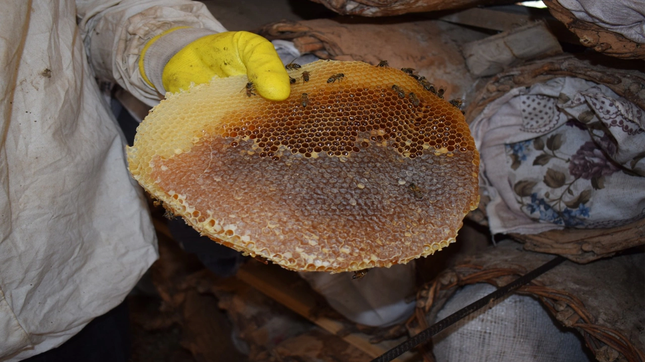 35 yıldır baba mesleğini yapıyor