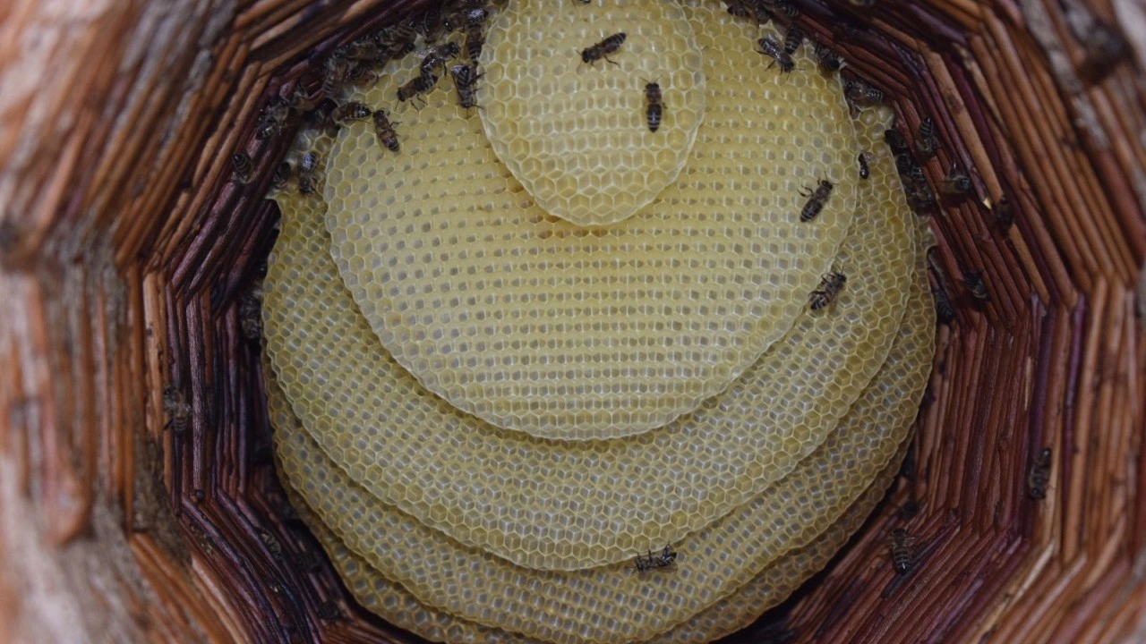 Foto - 35 yıldır baba mesleğini yapıyor