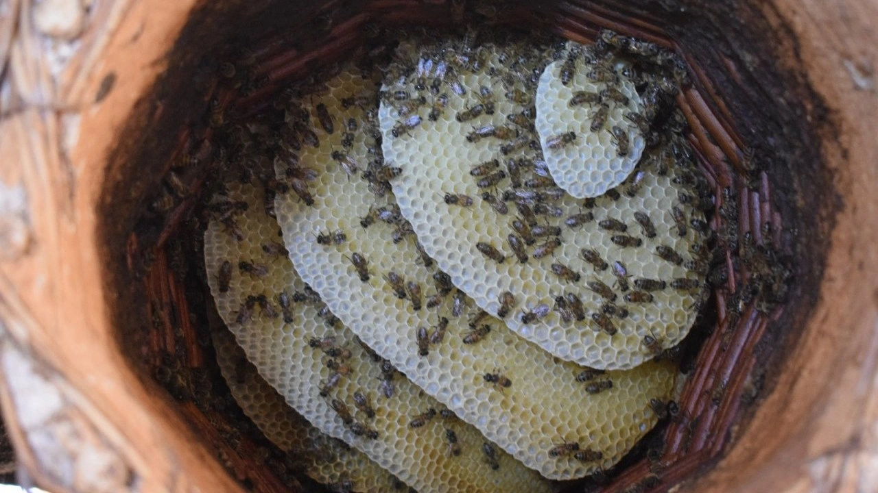 Foto - 35 yıldır baba mesleğini yapıyor