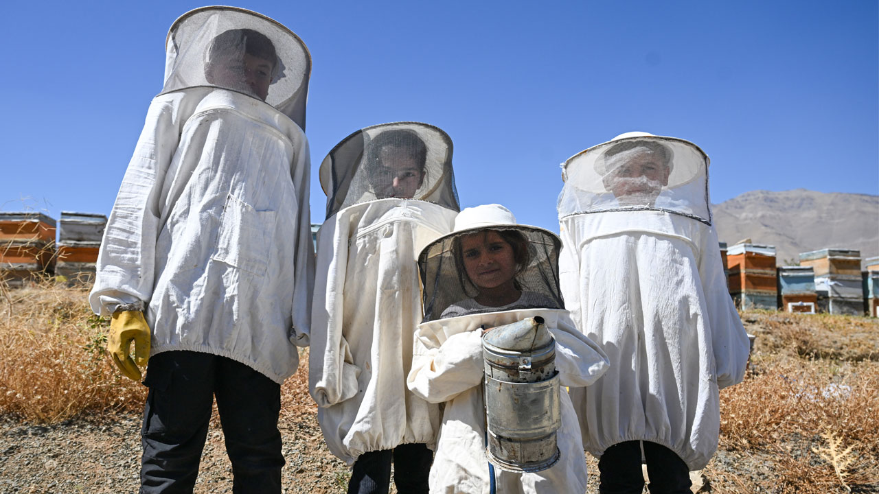 350 kovanda bal üretiyorlar! Şehirden kaçıp dağ eteklerinde yeni bir hayat kurdular