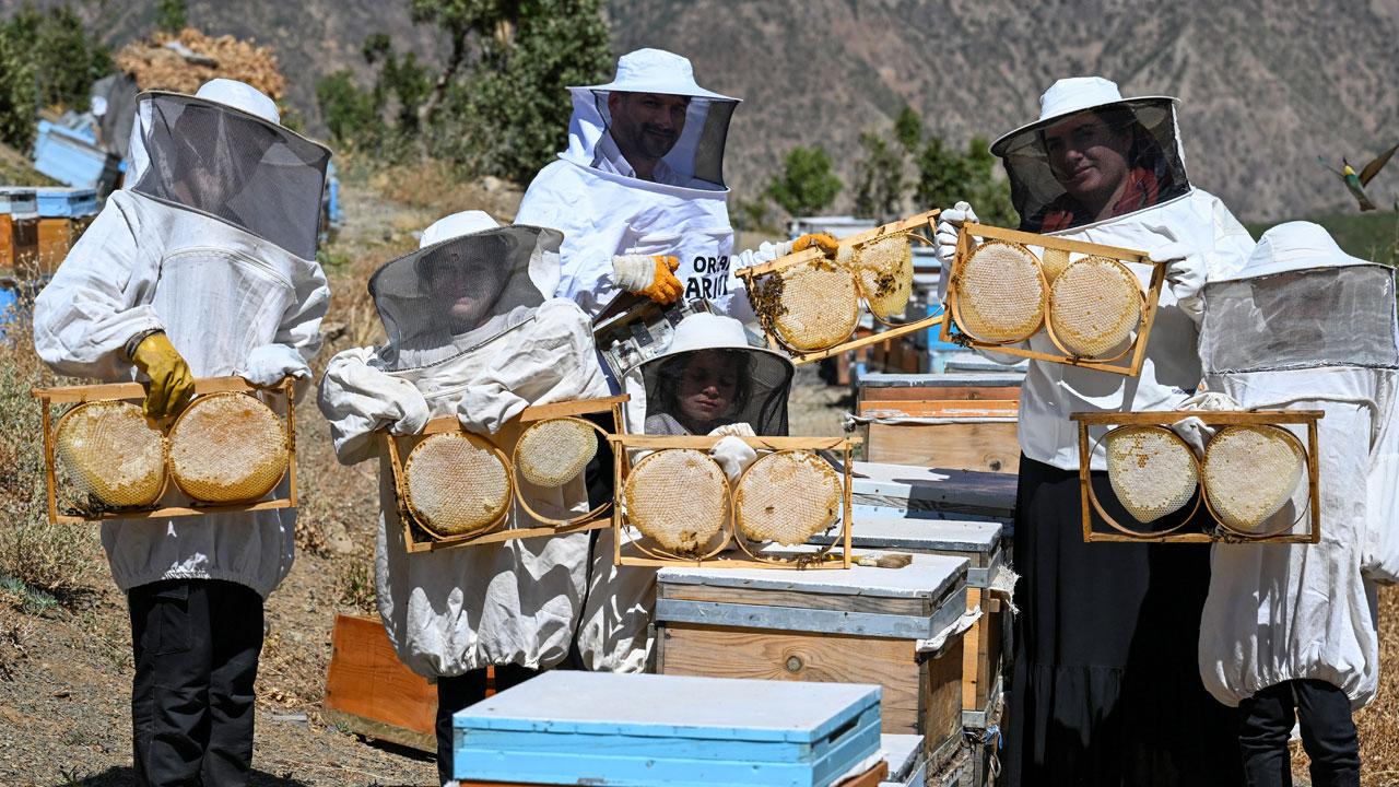 Foto - 350 kovanda bal üretiyorlar! Şehirden kaçıp dağ eteklerinde yeni bir hayat kurdular