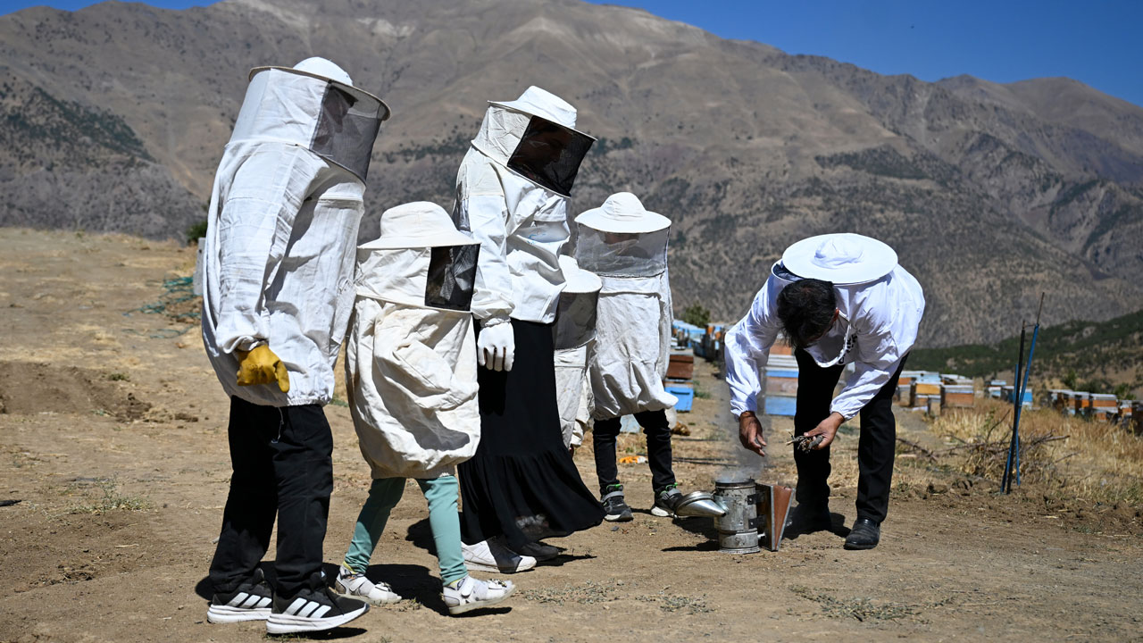 Foto - 350 kovanda bal üretiyorlar! Şehirden kaçıp dağ eteklerinde yeni bir hayat kurdular