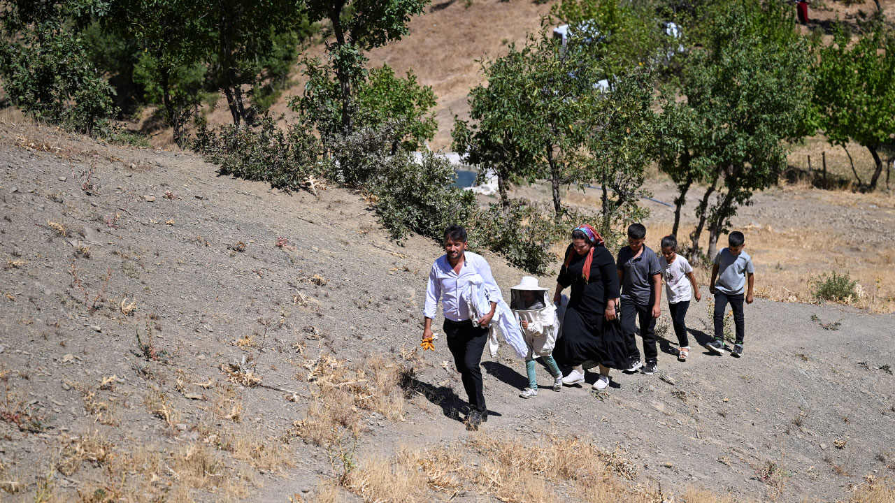 Foto - 350 kovanda bal üretiyorlar! Şehirden kaçıp dağ eteklerinde yeni bir hayat kurdular