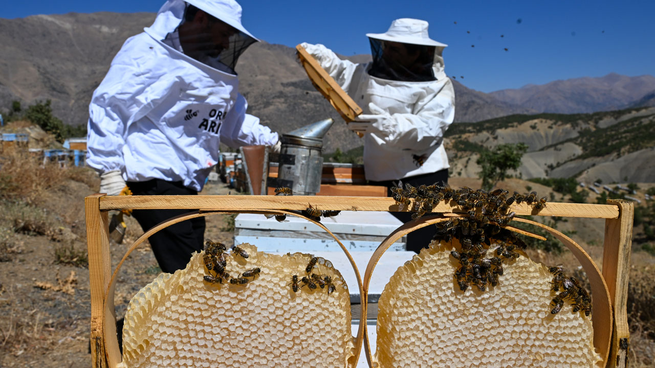 Foto - 350 kovanda bal üretiyorlar! Şehirden kaçıp dağ eteklerinde yeni bir hayat kurdular