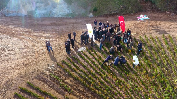 Foto - 36 bin fidanla başlanıldı! Türkiye yüzyılı logosu yapıldı