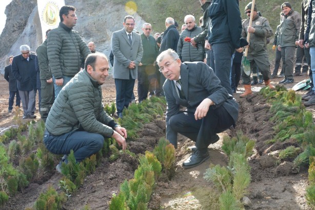 Foto - 36 bin fidanla başlanıldı! Türkiye yüzyılı logosu yapıldı