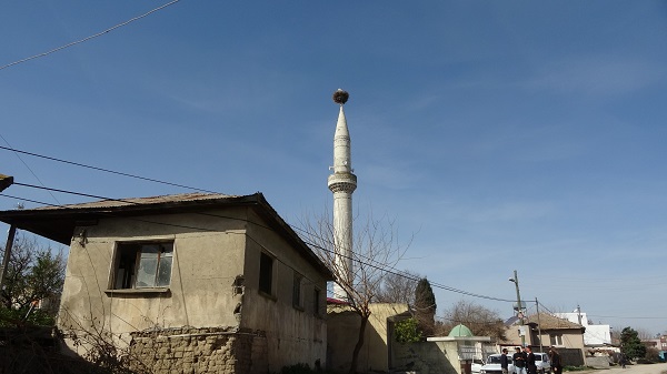 Foto - 36 yıldır köyün simgesi! Yaşlı leylek depremzede oldu