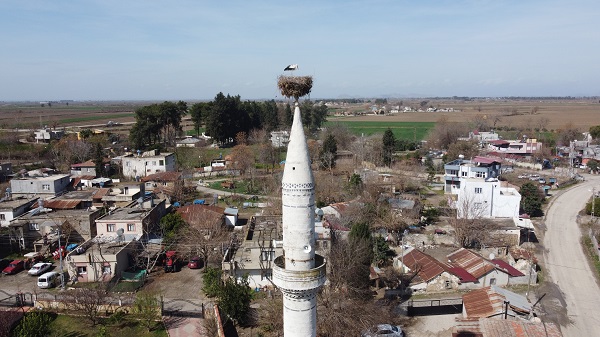 Foto - 36 yıldır köyün simgesi! Yaşlı leylek depremzede oldu