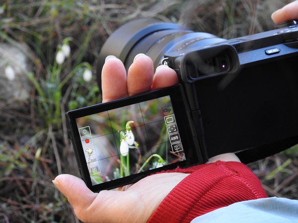 Foto - 387 bin liranız yoksa bu çiçeğe yaklaşmayın