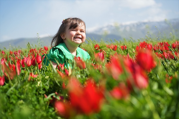 Foto - 387 bin liranız yoksa bu çiçeğe yaklaşmayın