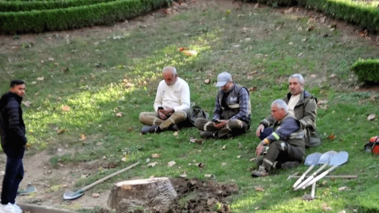 Foto - 4 ağaç için Taksim’i savaş alanına çeviren Çapulcular şimdi neredesiniz? İBB ağaç katliamı yapıyor…