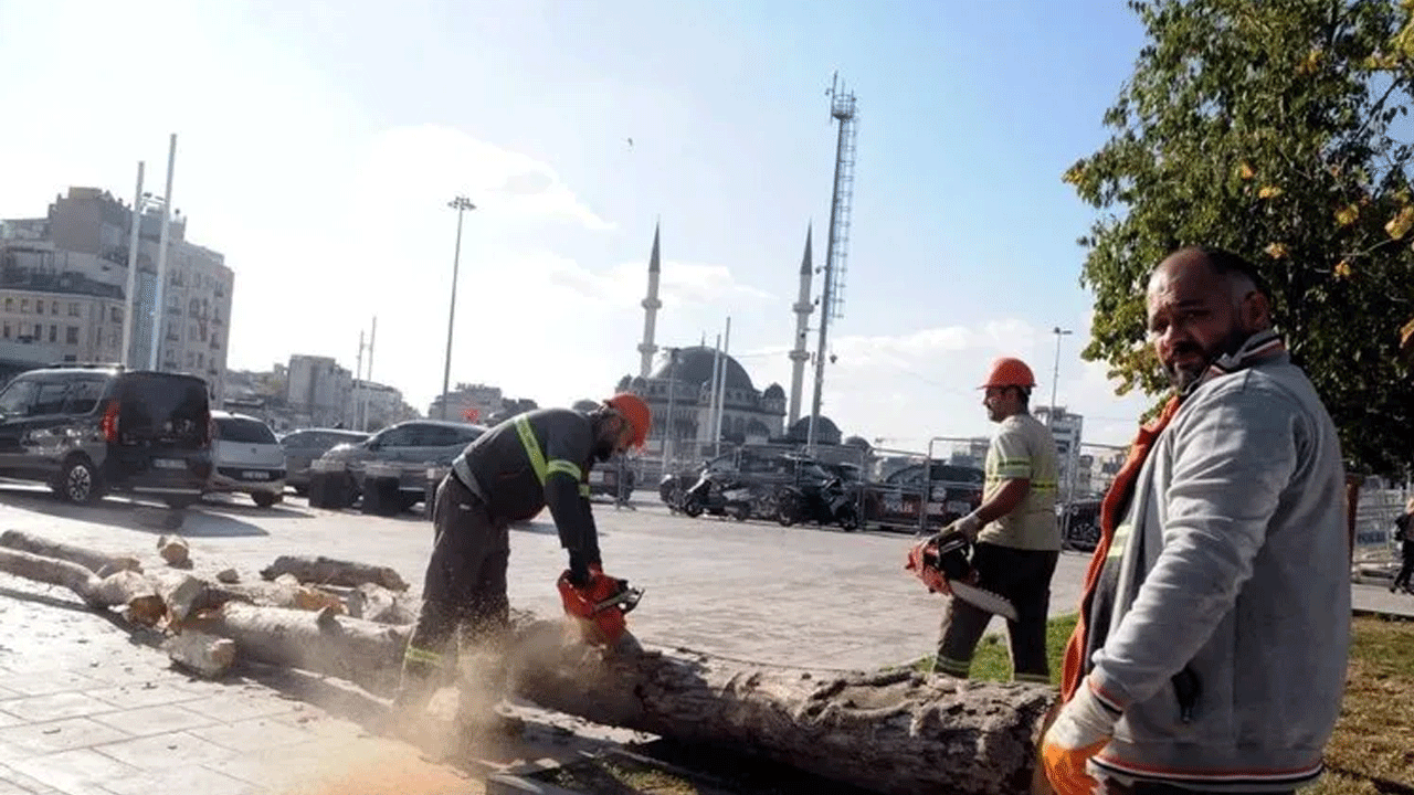 Foto - 4 ağaç için Taksim’i savaş alanına çeviren Çapulcular şimdi neredesiniz? İBB ağaç katliamı yapıyor…