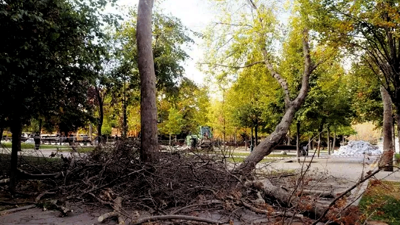 Foto - 4 ağaç için Taksim’i savaş alanına çeviren Çapulcular şimdi neredesiniz? İBB ağaç katliamı yapıyor…