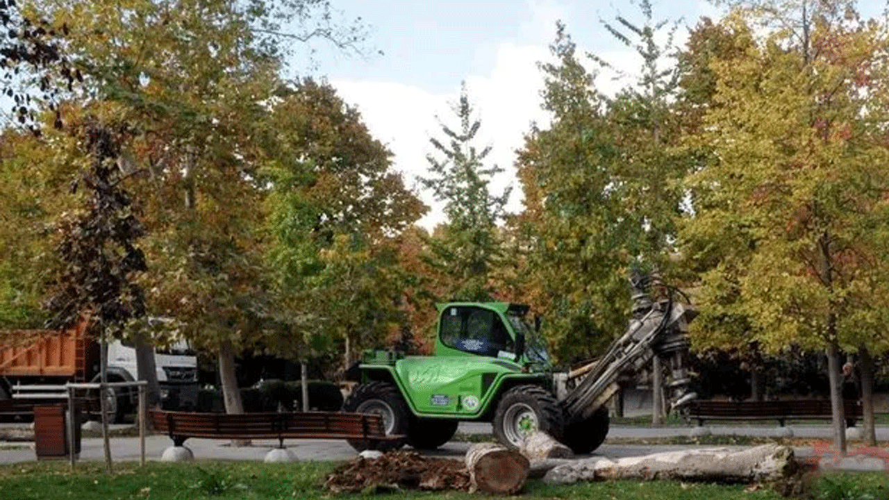 Foto - 4 ağaç için Taksim’i savaş alanına çeviren Çapulcular şimdi neredesiniz? İBB ağaç katliamı yapıyor…