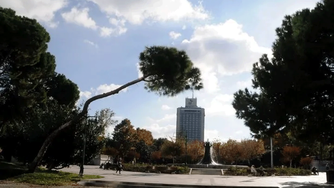 Foto - 4 ağaç için Taksim’i savaş alanına çeviren Çapulcular şimdi neredesiniz? İBB ağaç katliamı yapıyor…