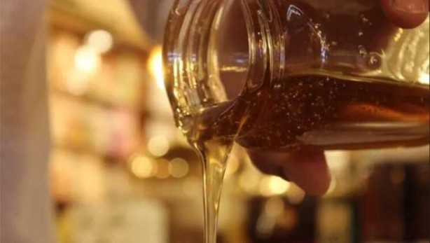 Foto - 4 ayda 13,5 milyon dolar kazandırdı! Onun için Suudi Arabistan da kapımızı çaldı