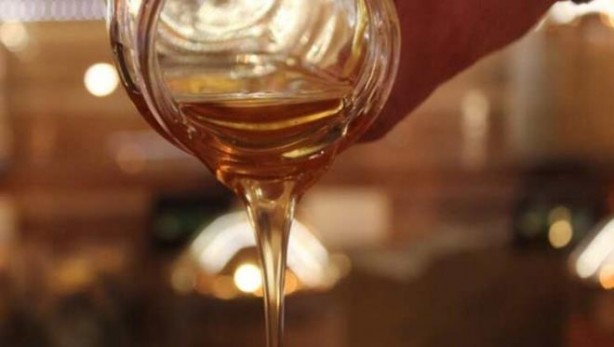 Foto - 4 ayda 13,5 milyon dolar kazandırdı! Onun için Suudi Arabistan da kapımızı çaldı