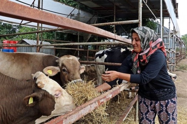 Foto - 4 bilezikle girdiği hayvancılık işiyle servetine servet kattı!