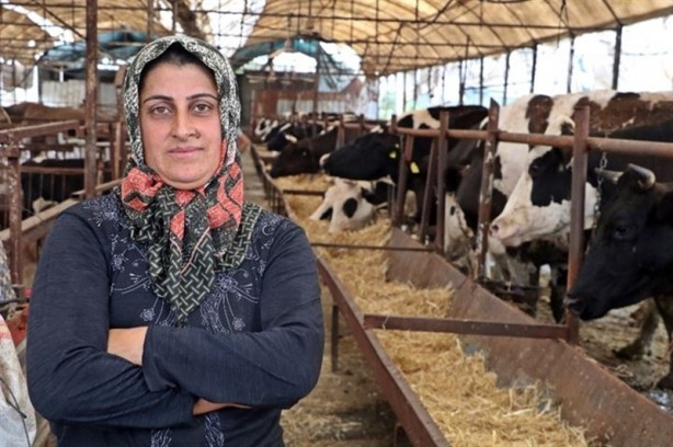 Foto - 4 bilezikle girdiği hayvancılık işiyle servetine servet kattı!