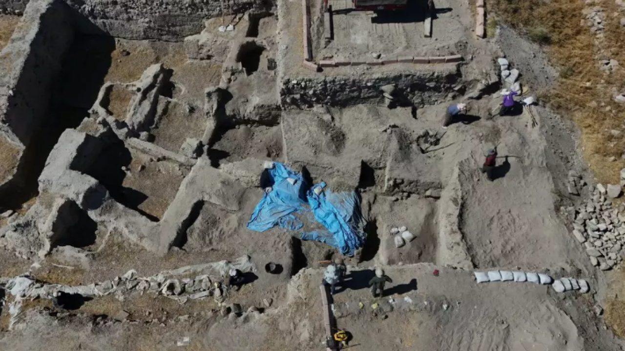 4 bin 500 yıllık kurutulmuş meyve bulundu! 77 yıl sonra ortaya çıktı!