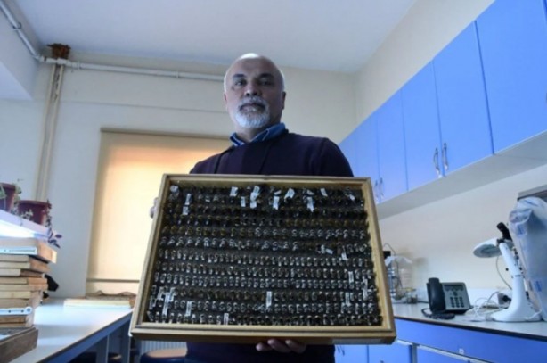 Foto - 4 bin türlük böcek koleksiyonu olan profesör