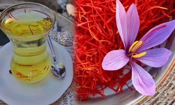 Foto - 4 gramı, 1 gram altınla aynı seviyede: O bitkinin gramı altınla eşitlendi