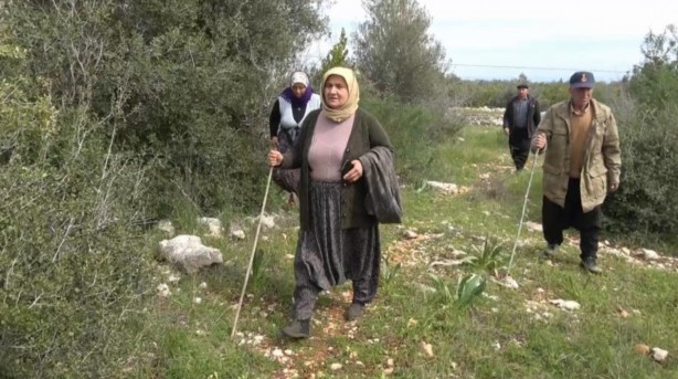 4 gündür kayıp olan 3 çocuk annesi kadın zeytinlikte bulundu