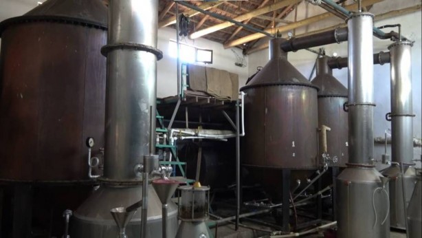 Foto - 4 tondan sadece 1 litre çıkıyor! Tamı tamına 10 bin euroya satıyorlar! Herkes ne olduğunu anlamaya çalışıyor