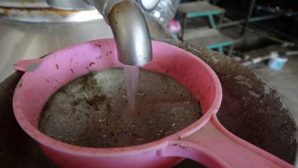 Foto - 4 tondan sadece 1 litre çıkıyor! Tamı tamına 10 bin euroya satıyorlar! Herkes ne olduğunu anlamaya çalışıyor