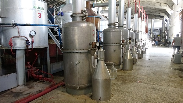 Foto - 4 tondan yalnızca 1 litre çıkıyor! Litresi tam 400 bin TL'ye satılıyor