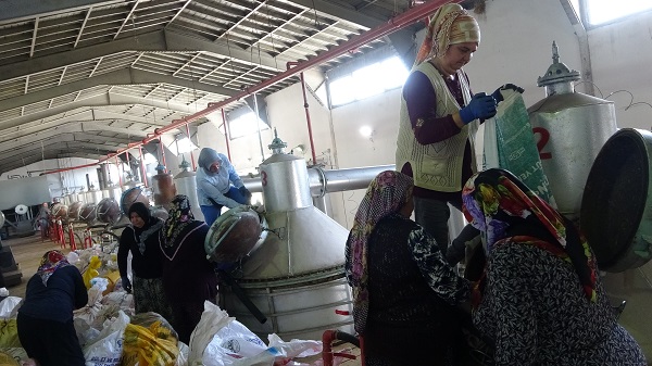 Foto - 4 tondan yalnızca 1 litre çıkıyor! Litresi tam 400 bin TL'ye satılıyor