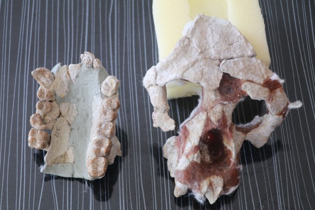 4 tür keşfi: Toprağı kazdılar, bataklığın içerisinden çıkardılar! Çıktıkça yenisi göründü! 