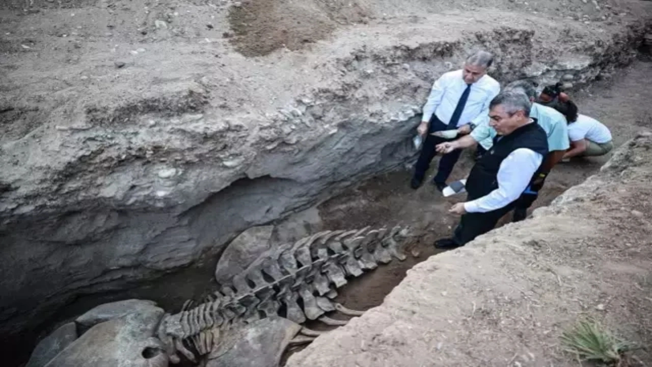 Foto - 4 yıl önce gömülmüştü, topraktan çıkarılıyor! Boyu tamı tamına 14 metre
