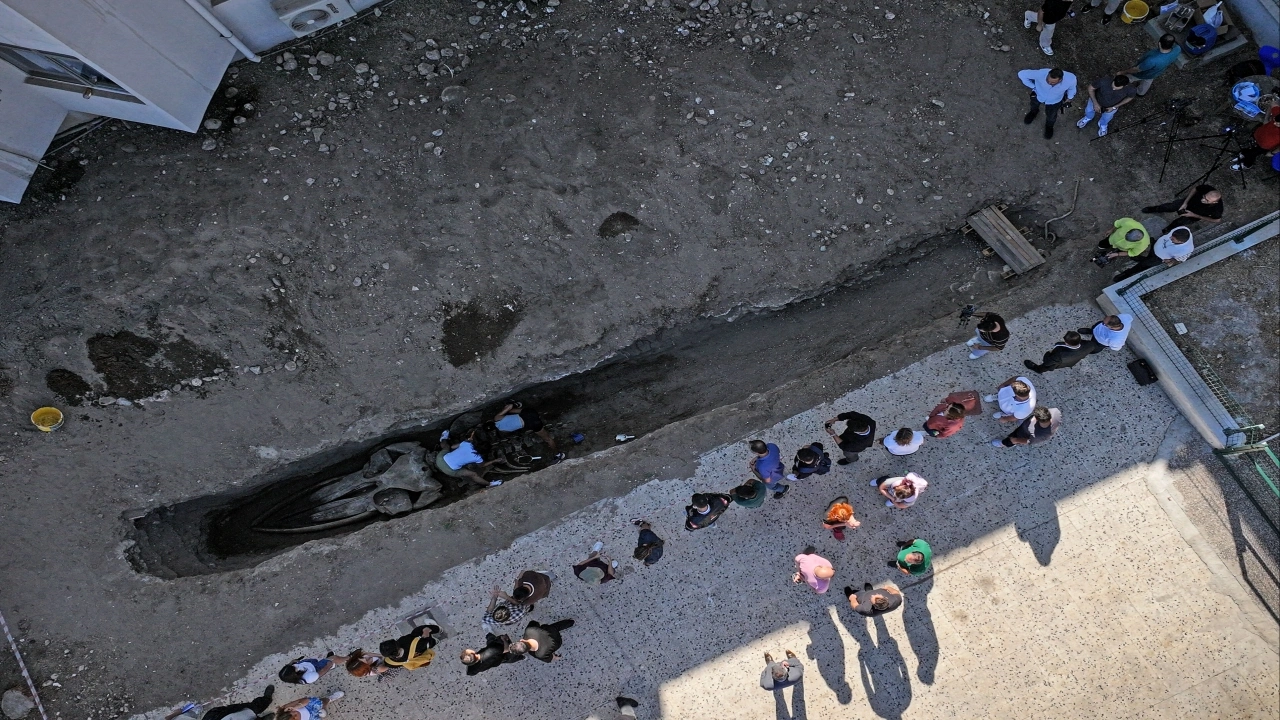 4 yıl önce gömülmüştü, topraktan çıkarılıyor! Boyu tamı tamına 14 metre