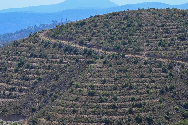 Foto - 4 yıl önce yanmıştı! İşte son durum