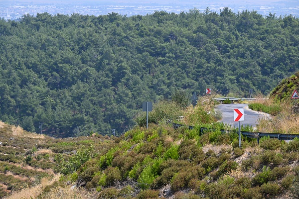 Foto - 4 yıl önce yanmıştı! İşte son durum