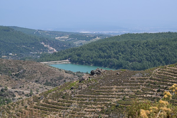 Foto - 4 yıl önce yanmıştı! İşte son durum