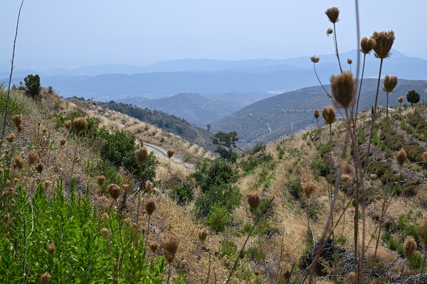 Foto - 4 yıl önce yanmıştı! İşte son durum