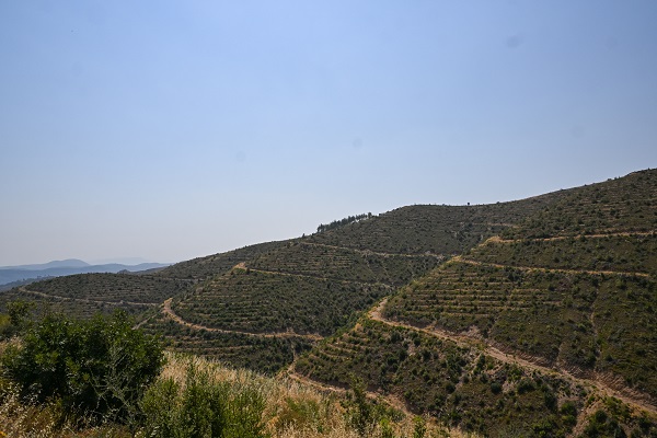 Foto - 4 yıl önce yanmıştı! İşte son durum