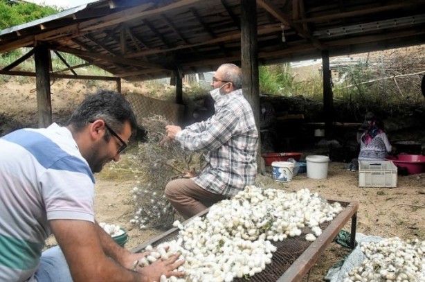 Foto - 40 günde 10 bin TL kazanıyorlar!