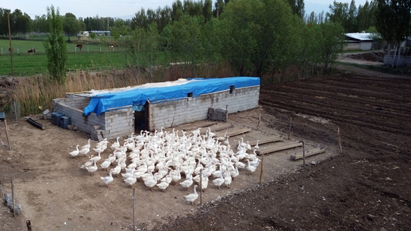 Foto - 40 kazla başladı... Yörenin önde gelen tedarikçilerinden oldu