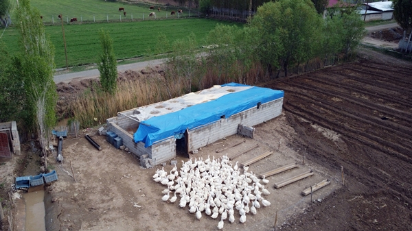 Foto - 40 kazla başladı... Yörenin önde gelen tedarikçilerinden oldu