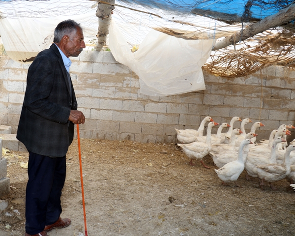 Foto - 40 kazla başladı... Yörenin önde gelen tedarikçilerinden oldu