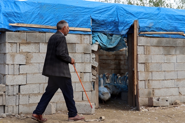 Foto - 40 kazla başladı... Yörenin önde gelen tedarikçilerinden oldu