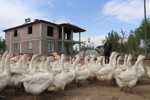 Foto - 40 kazla başladı... Yörenin önde gelen tedarikçilerinden oldu